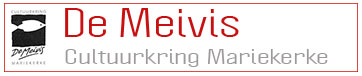 logo meivis view2